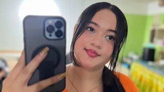 Dakota JE Snapshot
