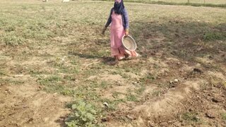 Delhicouple50 Snapshot