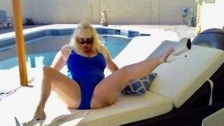 Shellyfox Snapshot