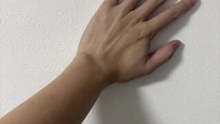 Kiku IPPATSU Snapshot