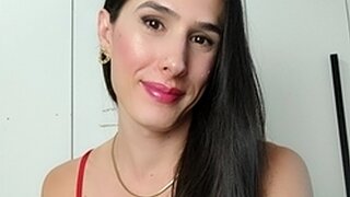 Transluxxx Snapshot
