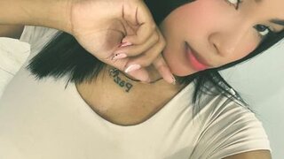 Nikolsaenz Snapshot