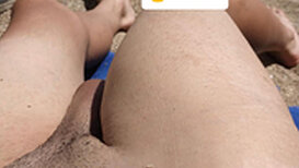 bichobichito Snapshot