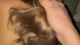 Sinfullysoft Snapshot