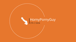HornyPornyGuy Snapshot