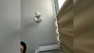 Curiosos3733 Snapshot