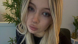DragonFlya Snapshot