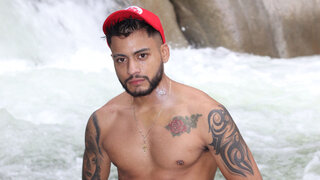 LatinStiv Snapshot