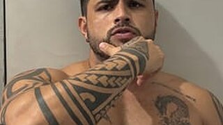 Drigo 4733 Snapshot