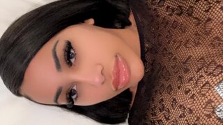 katt-leya Snapshot